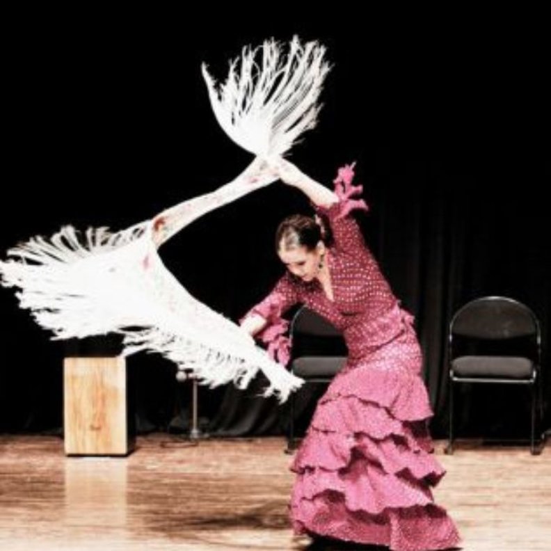 Flamenco for Beginners