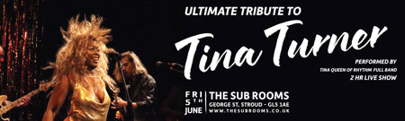 Tina Stroud 2500X750