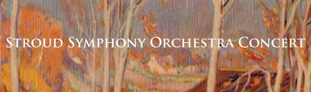 Web Banner