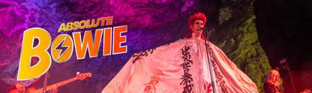 Bowieweb Banners NEW SIZE (2500 × 750 Px) (50)