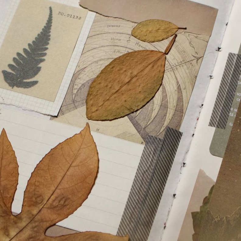 Intro to Collage Journaling