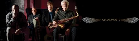 NEW Web Banners NEW SIZE (2500 × 750 Px) (2)