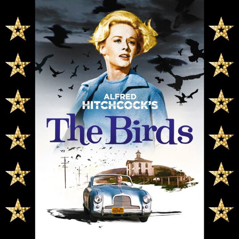 Alfred Hitchcock’s The Birds (15)