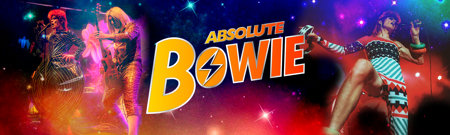 Bowie Banner1 2500X750