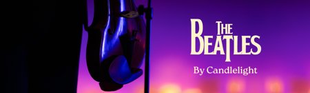 Web Banner (250 X 750 P(2500 X 750 Px)